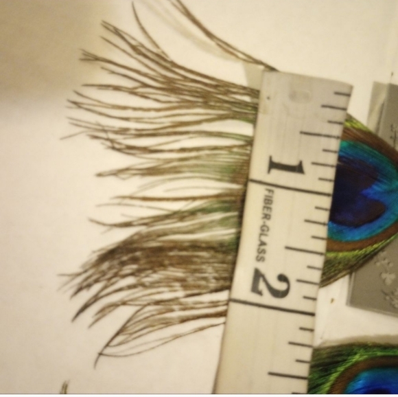 Peacock Feather Earrings on pierced hypoallergenic ss Ear wires. 1 pr Be… - Picture 5 of 10